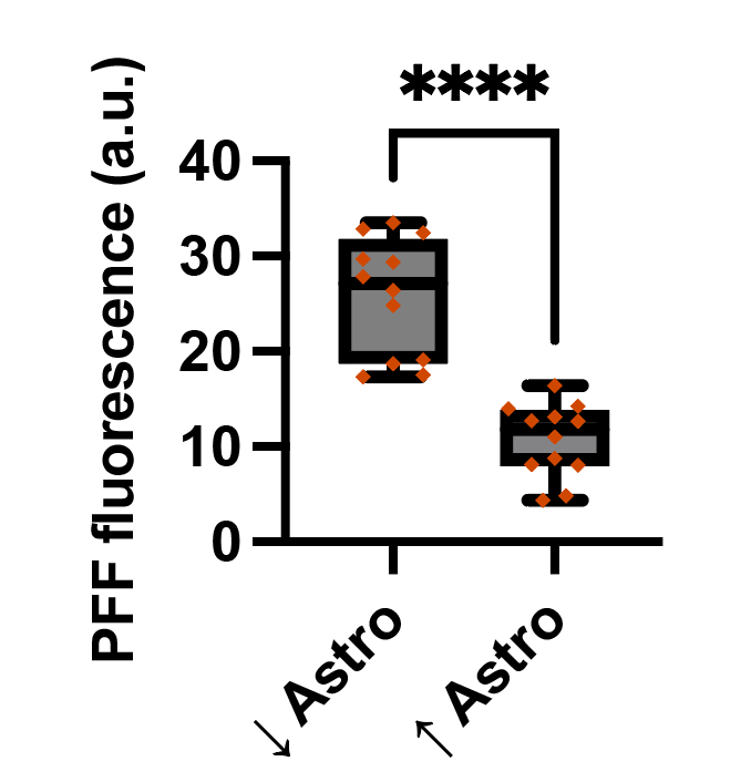 Side-by-side comparison across co-culture conditions